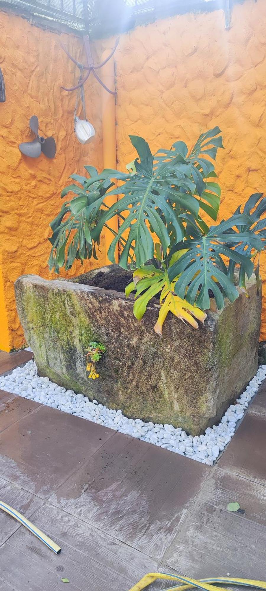 Casa Bea Appartement Santa Margherita Ligure