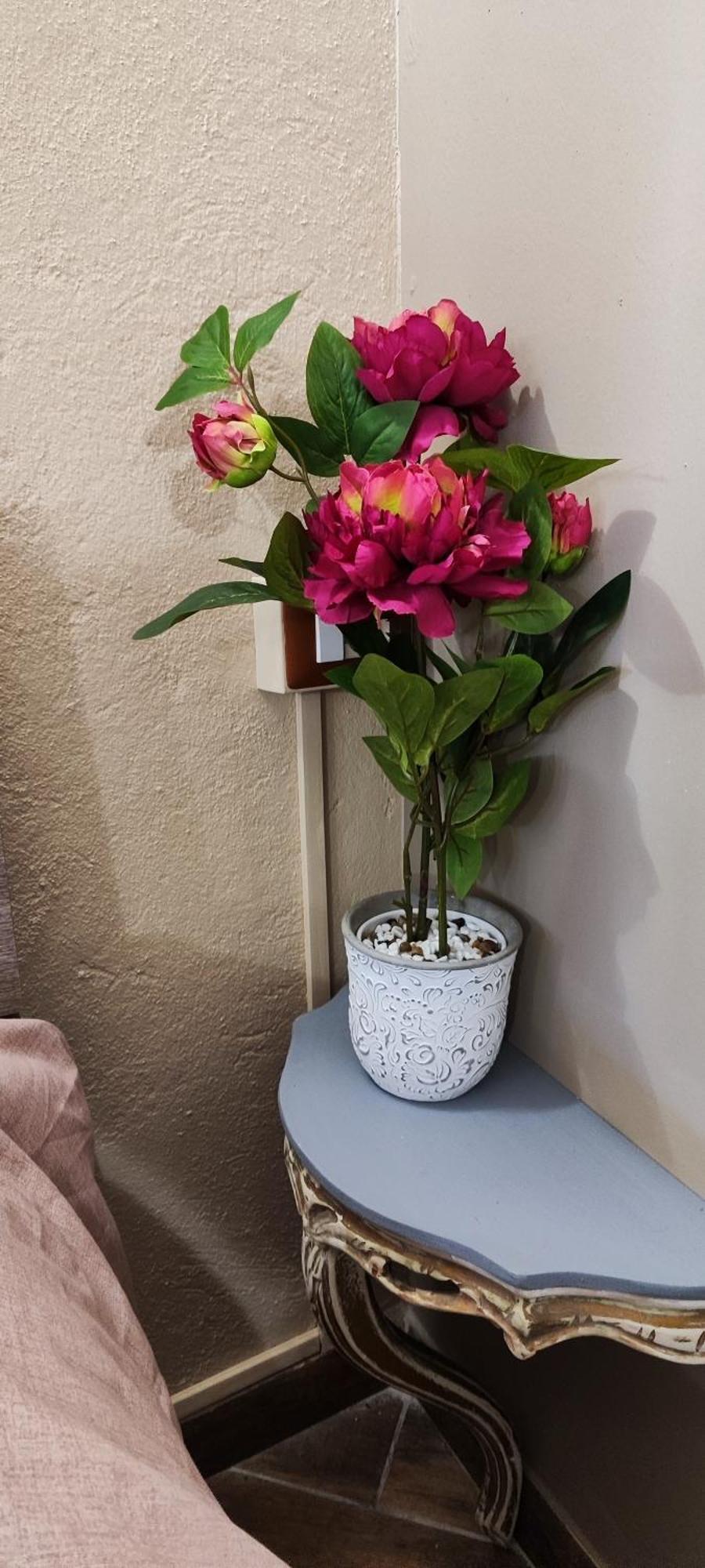 Casa Bea Apartment *